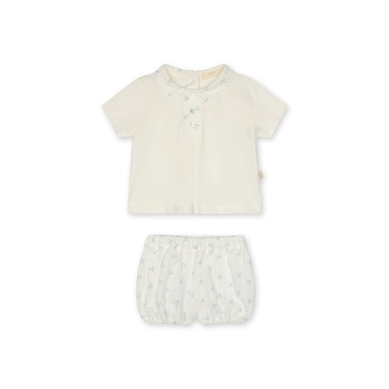 Ensemble Anchor