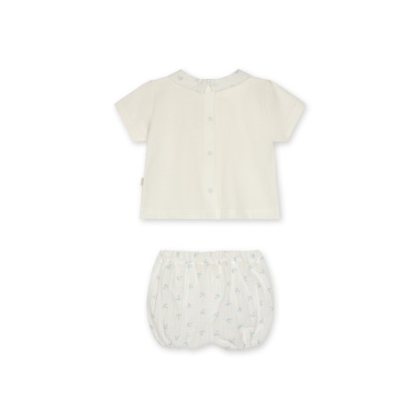 Conjunto Anchor