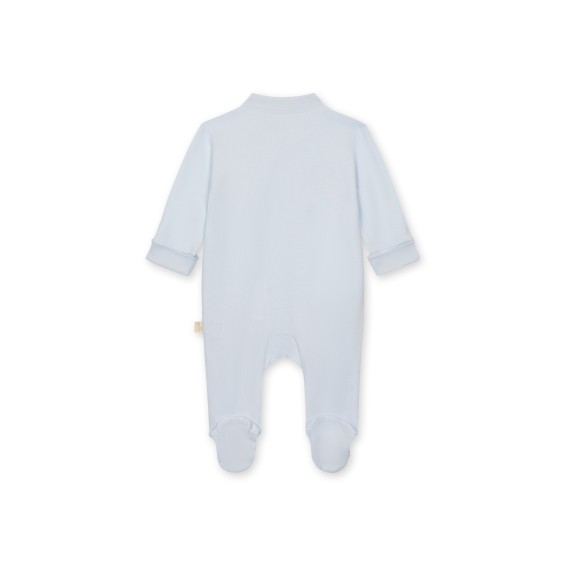 Bear Babygrow