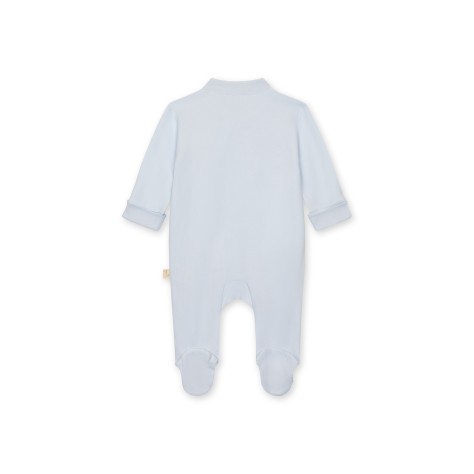 Bear Babygrow