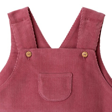 Baby Gi Dress