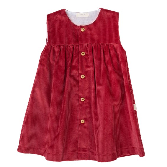 Baby Gi Dress