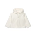 Ivory Ivory