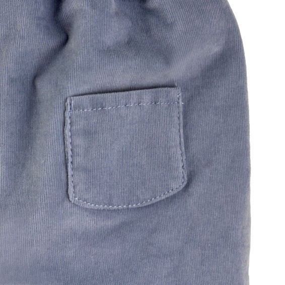 Pantalones