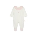 Ivory & Pink