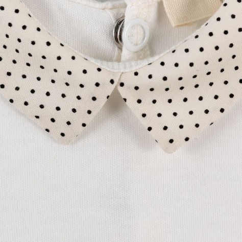 Body