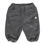 Grigio