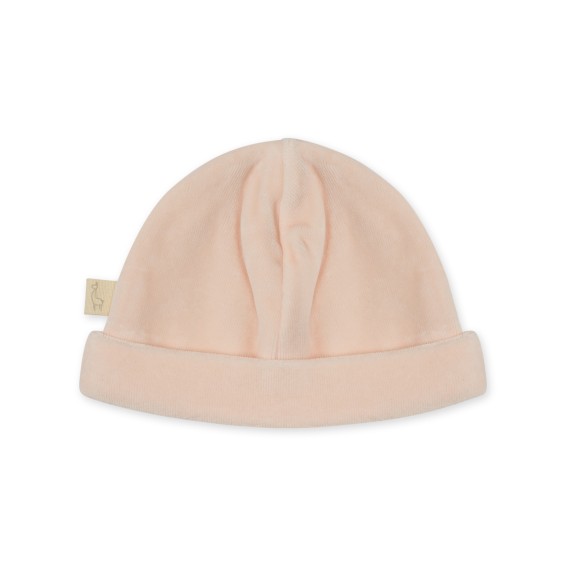 Bonnet