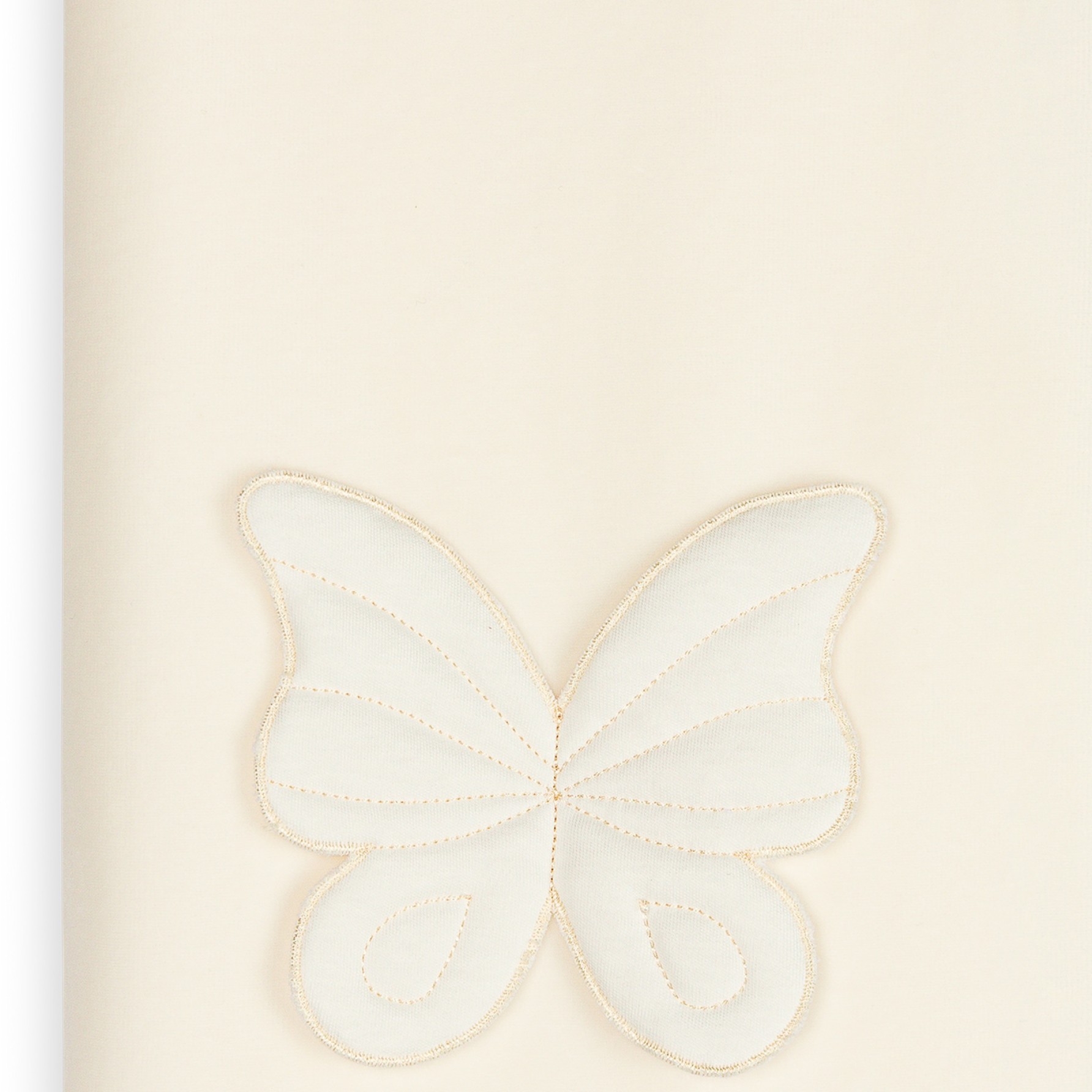 Manta Butterfly
