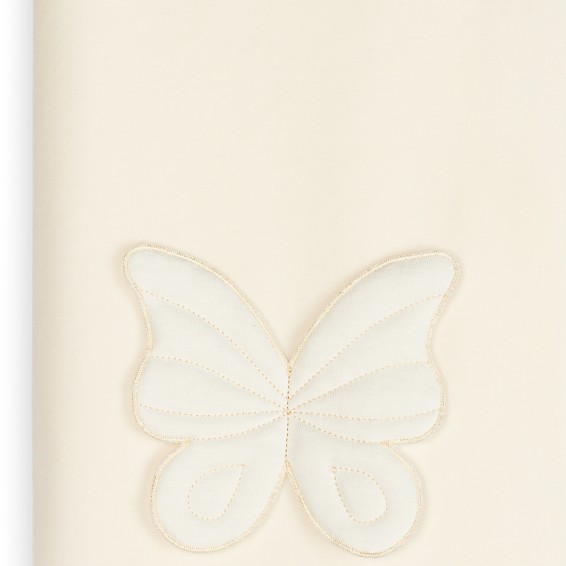 Butterfly Blanket