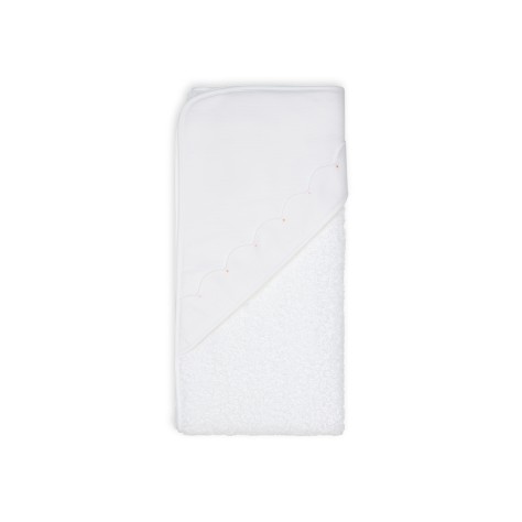 Cape De Bain Daisy - Image product