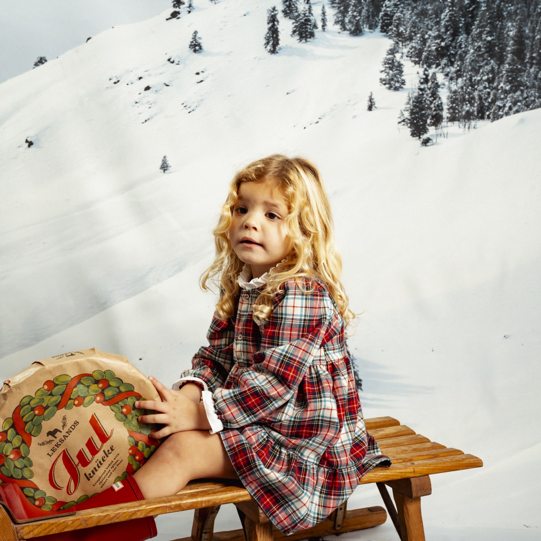 Vestido Gingerbread