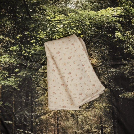 Couverture Toadstool
