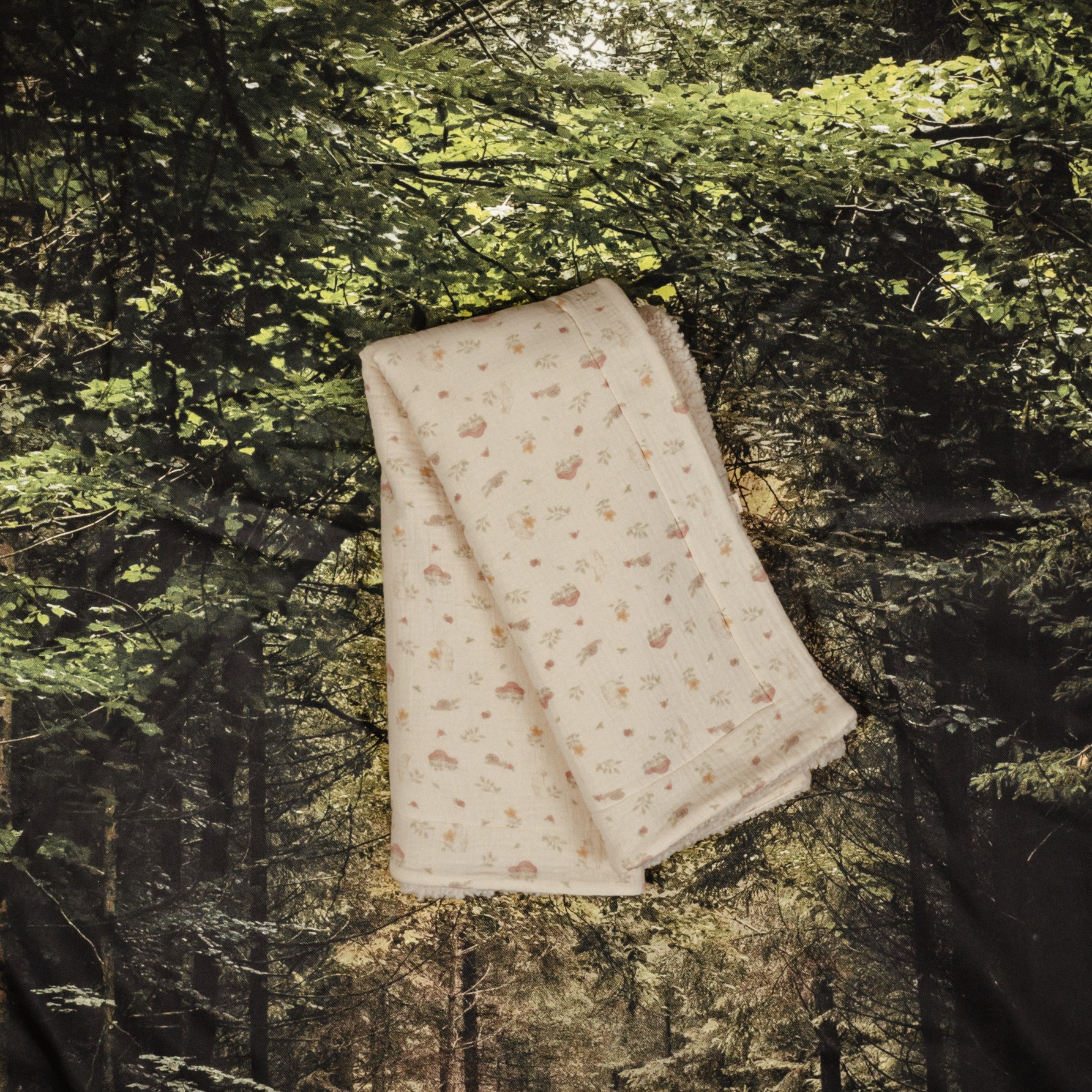 Couverture Toadstool