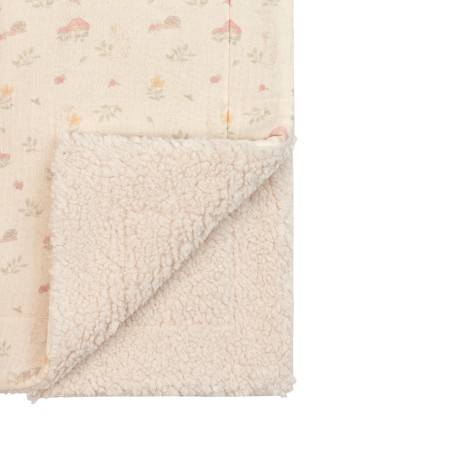 Couverture Toadstool