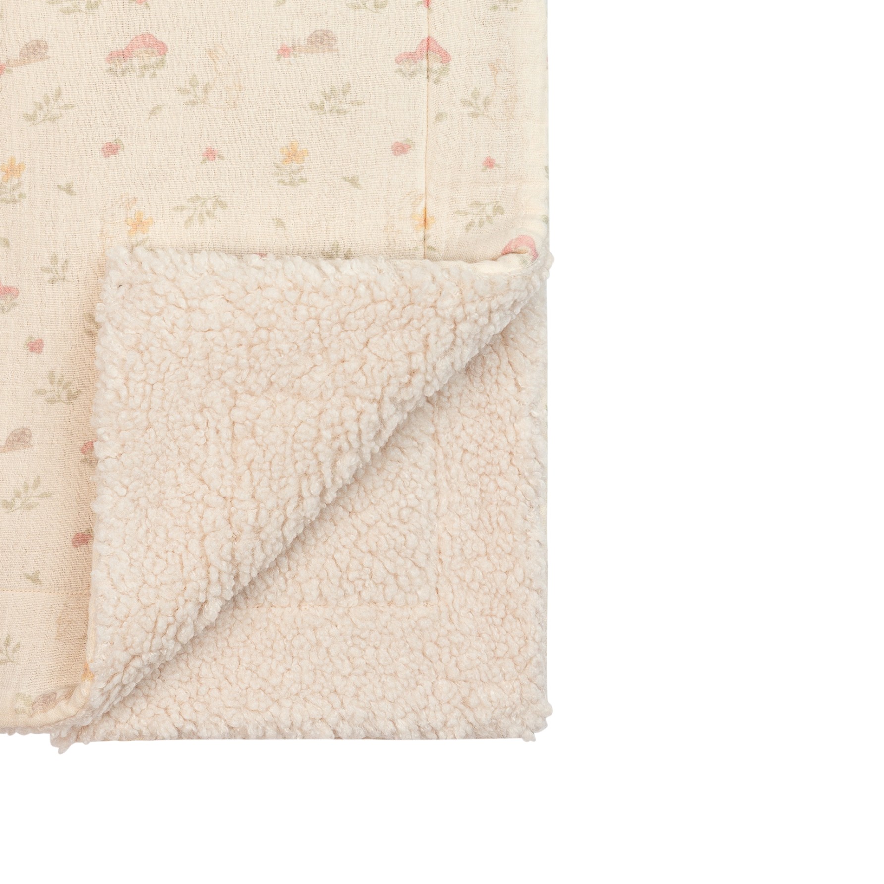 Couverture Toadstool