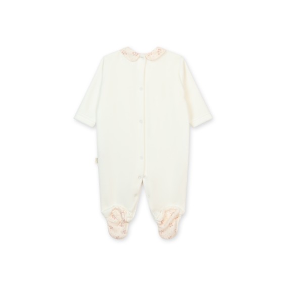 Tutina Winter Garden